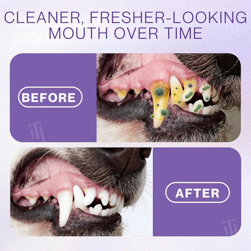 RZXEA™ Pet Zinc-Gluconate Oral Spray