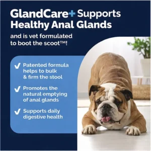 GlandCare+ Anal Glands Chews Peanut Butter Flavour