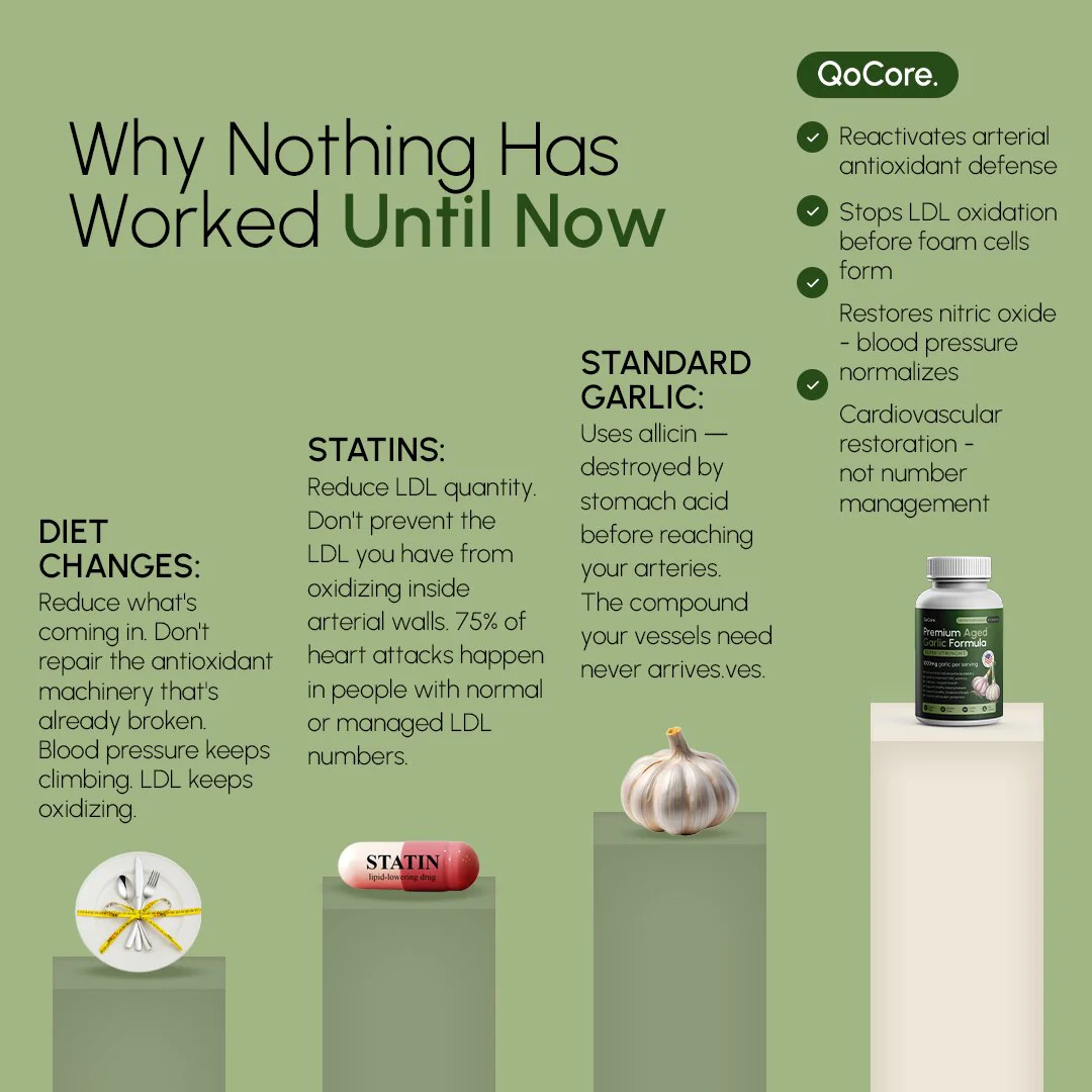 QoCore Premium Aged Garlic Formula Super Strength 1000mg